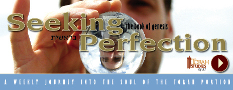 SeekingPerfection-TS_Chabadorg.jpg